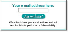 Fresh Frozen Fish signup