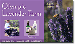 Olympic Lavender Farm