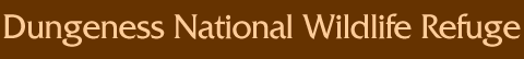Dungeness National Wildlife Refuge